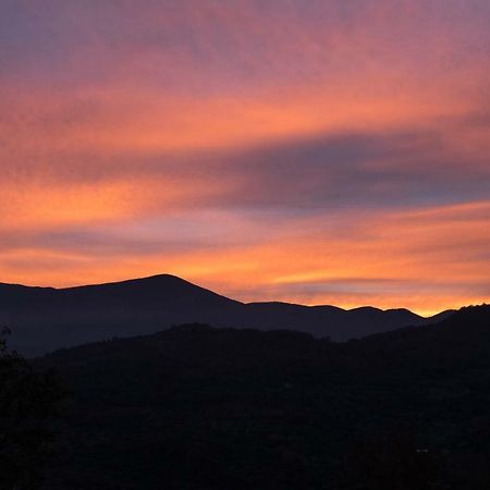 La Banditaccia Monticello Amiata Eksteriør billede