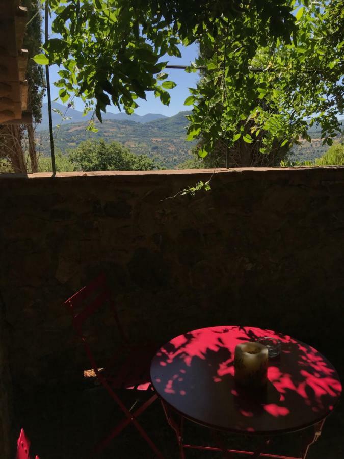 La Banditaccia Monticello Amiata Eksteriør billede