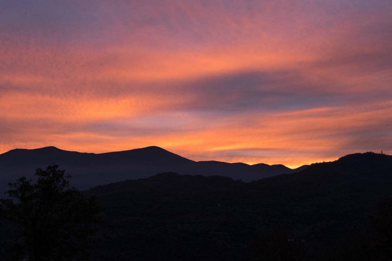 La Banditaccia Monticello Amiata Eksteriør billede