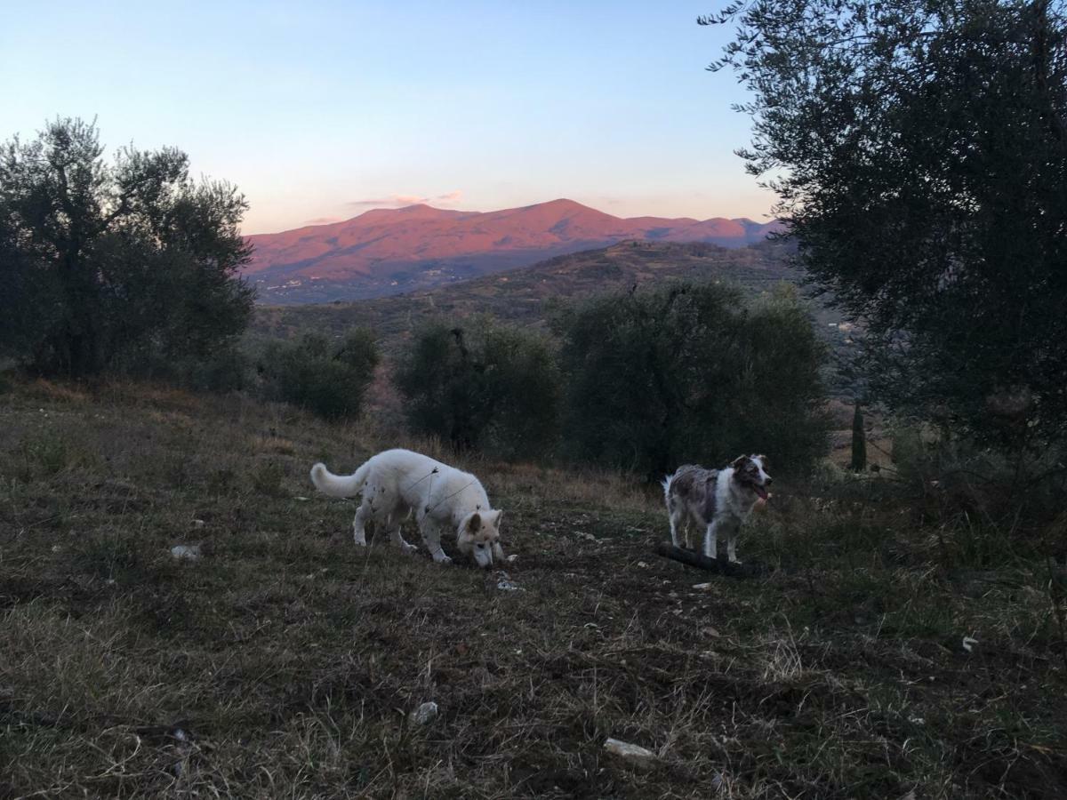La Banditaccia Monticello Amiata Eksteriør billede
