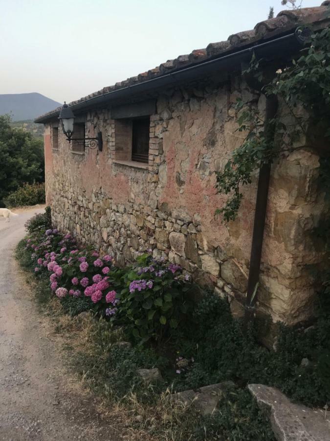 La Banditaccia Monticello Amiata Eksteriør billede