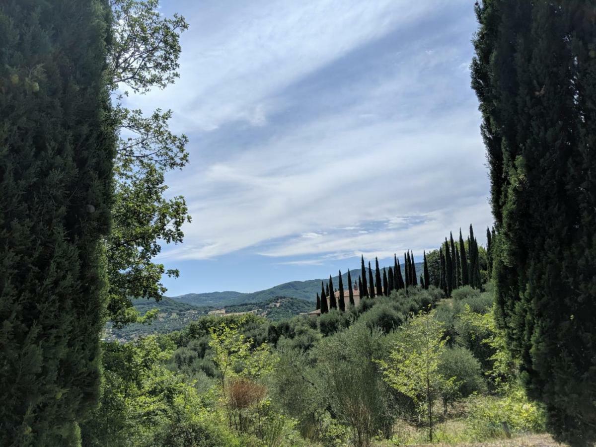 La Banditaccia Monticello Amiata Eksteriør billede