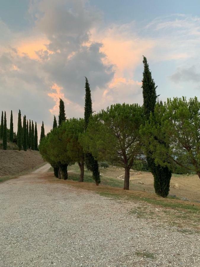 La Banditaccia Monticello Amiata Eksteriør billede